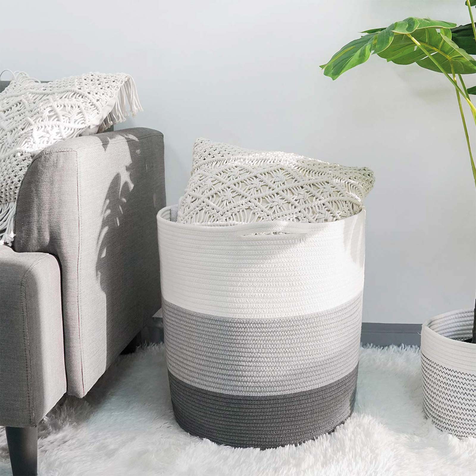 Tidy - Image 6