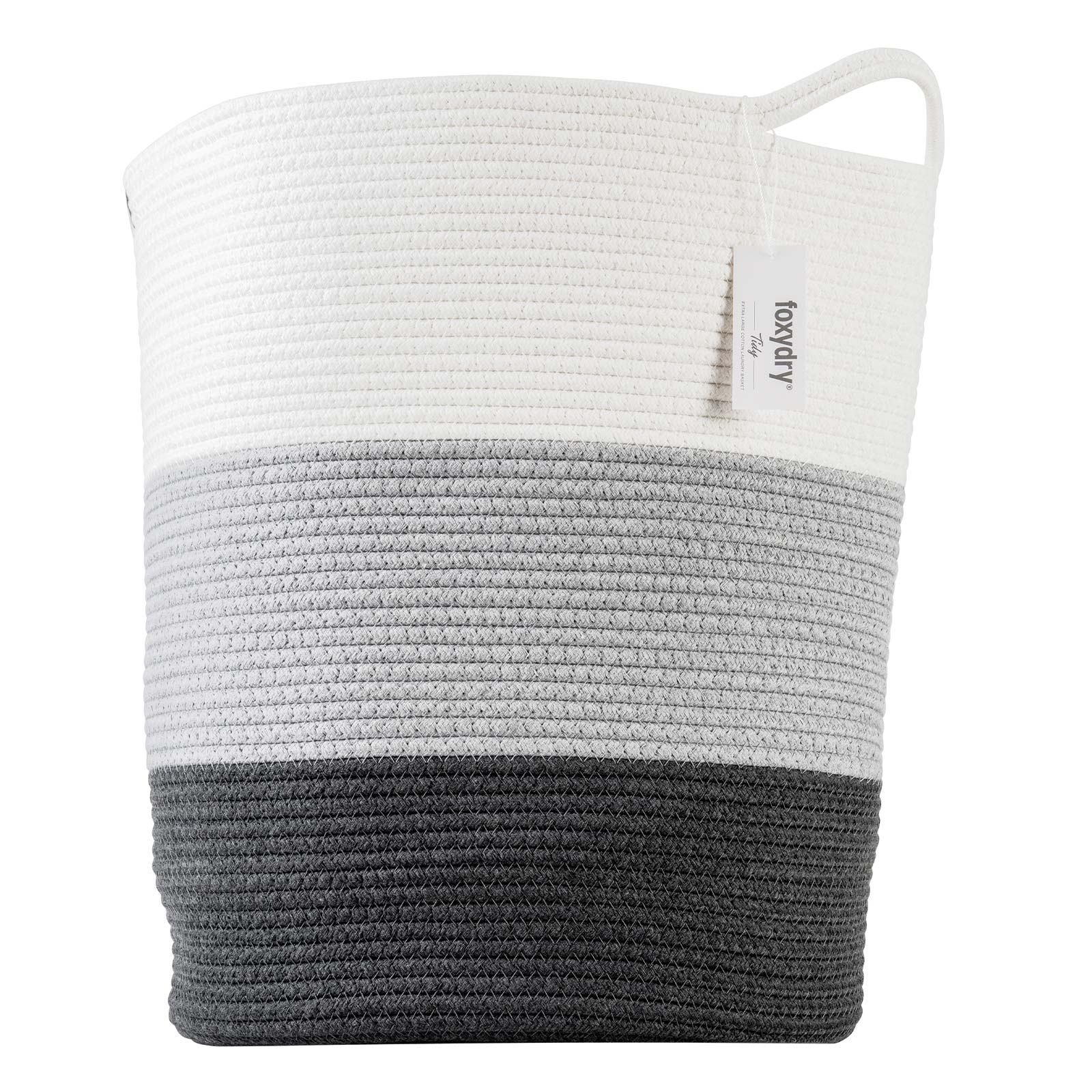 Tidy - Image 7